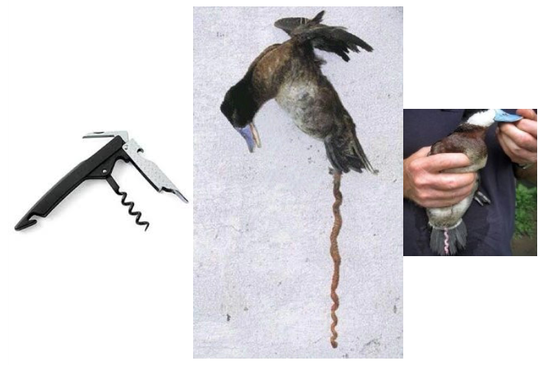 https://file.lulublog.cn/images/3/2022/08/HEz4v4PBPpkX00Ip2Vp26bq2b6eQkP.png?sign=7648f5d0ba71eb612c76c1a7bb523bc8&t=6ad79000
