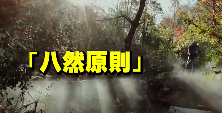 https://file.lulublog.cn/images/3/2025/10/oQRmUmeyn8WN9f88MMNq99nFyNrdr2.png?sign=7114b29d7d3e1103a4b55a314dcea6c3&t=6acd0400